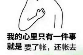 山南企业清欠服务